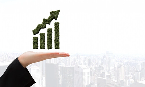 Increase in revenue